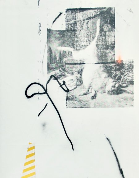 Yellow Weenix Hare n°1