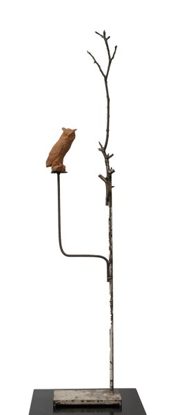 Athene Noctua (construct I)